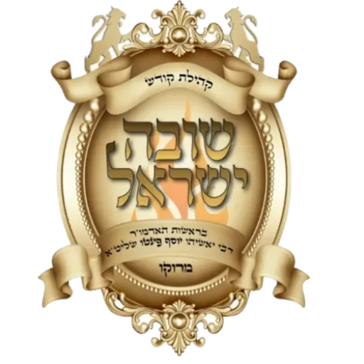 cropped-cropped-cropped-Shuva-Israel-Logo-3.webp